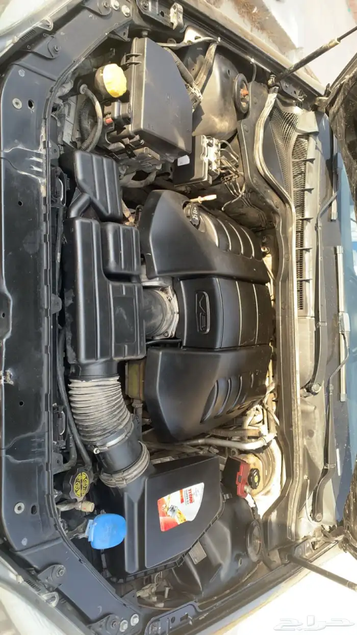 كابرس 2011 اسود لوحات كويتيه 2