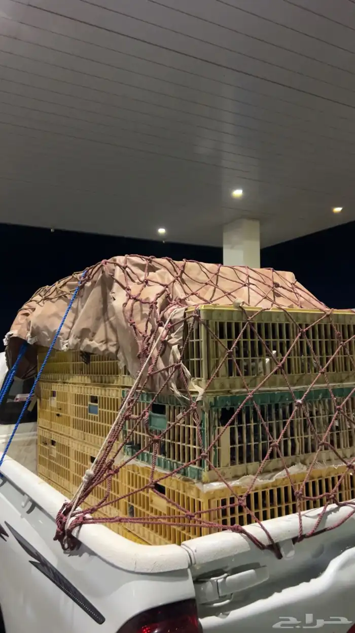 موصل مشاوير بانواعها 0