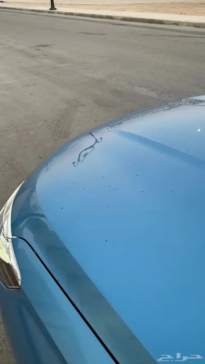 هافال جوليان فل كامل 2023 8