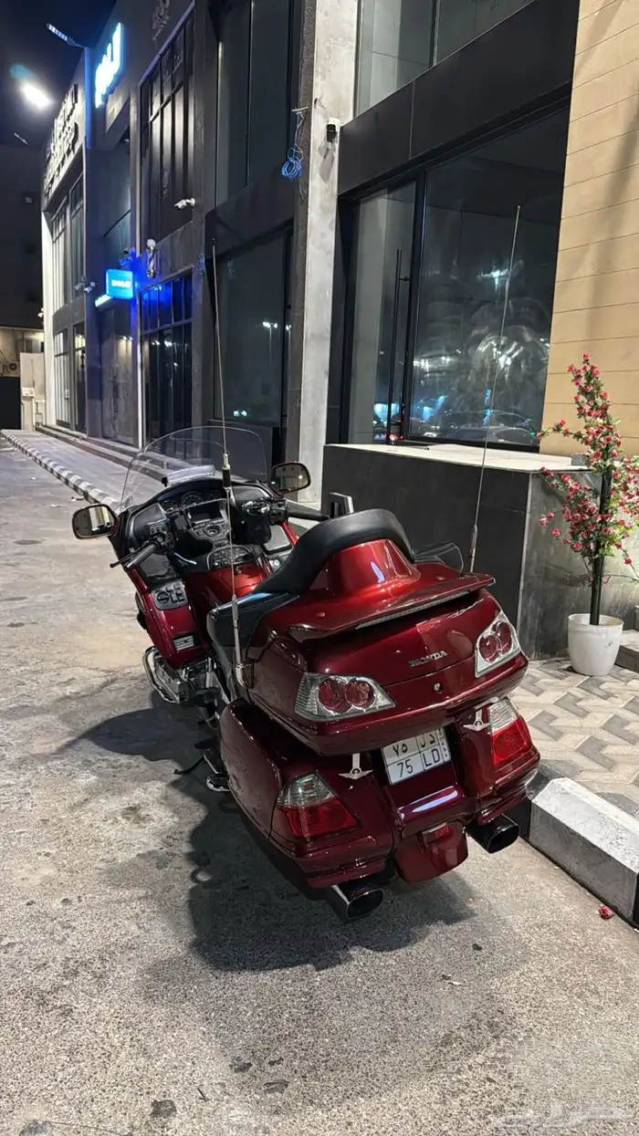 قولد وينق 2009 نظيف 1