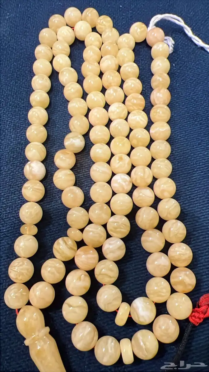 مزاد كهرمان ذهب الرجال (اليوم 7ونص مساء) 8