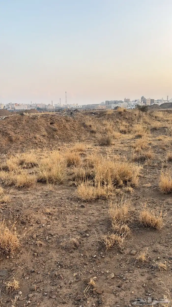 ارض سكنية للبيع 6