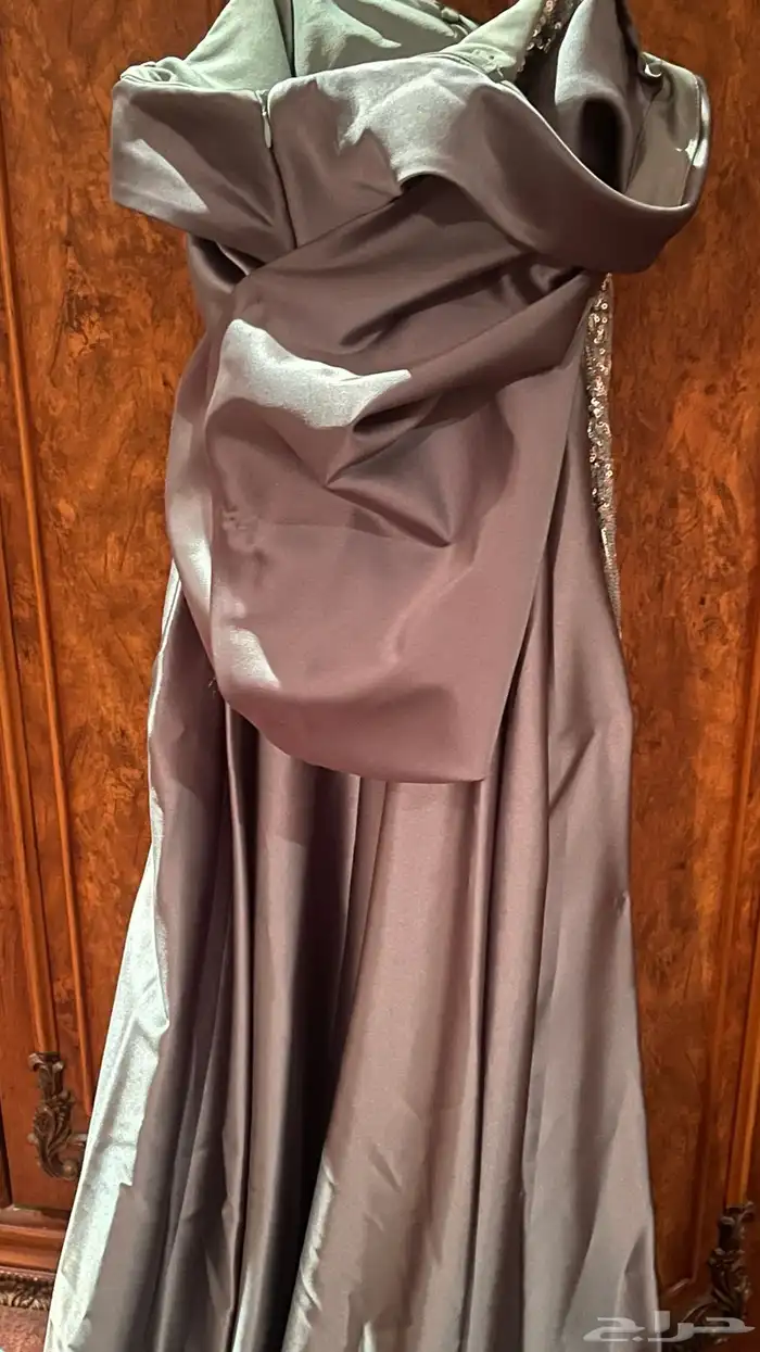 فستان شك فخم من عماير السيريكون 2