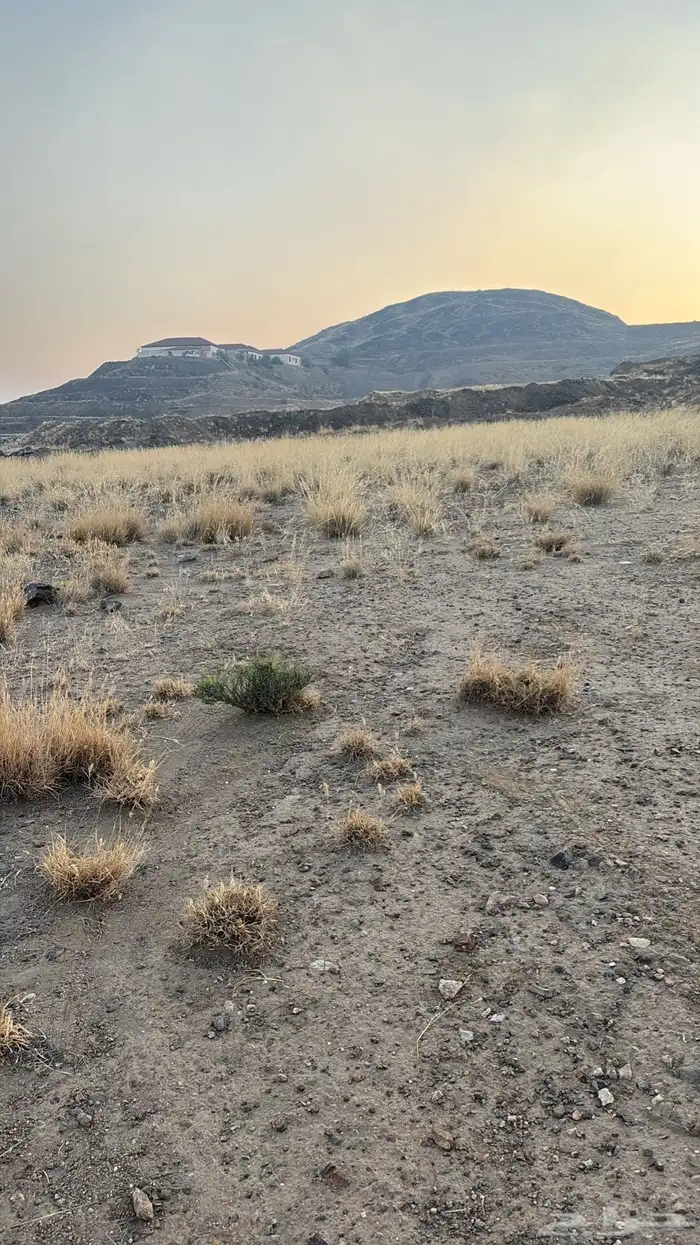 ارض سكنية للبيع 4