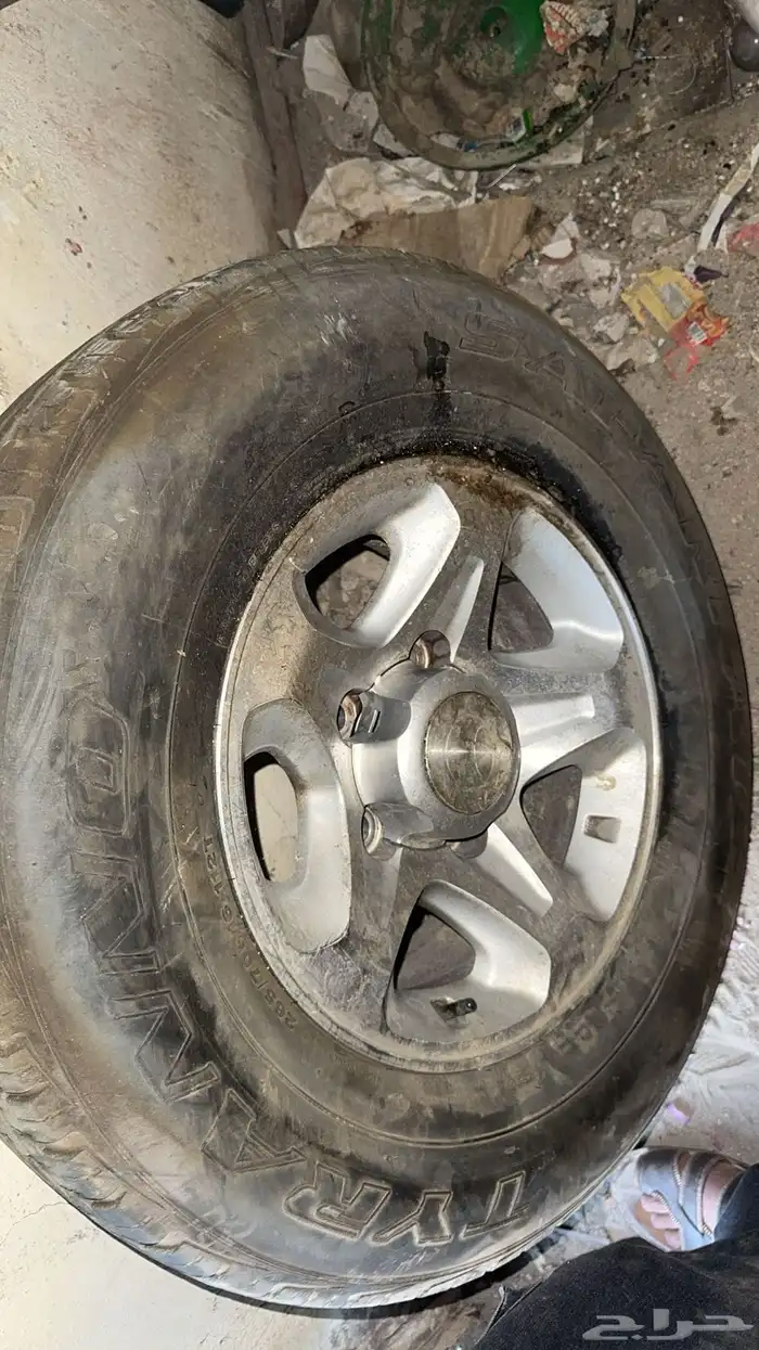 جنوط جيب ربع رفرف 5