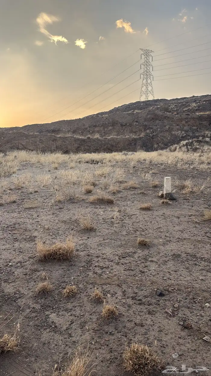 ارض سكنية للبيع 5