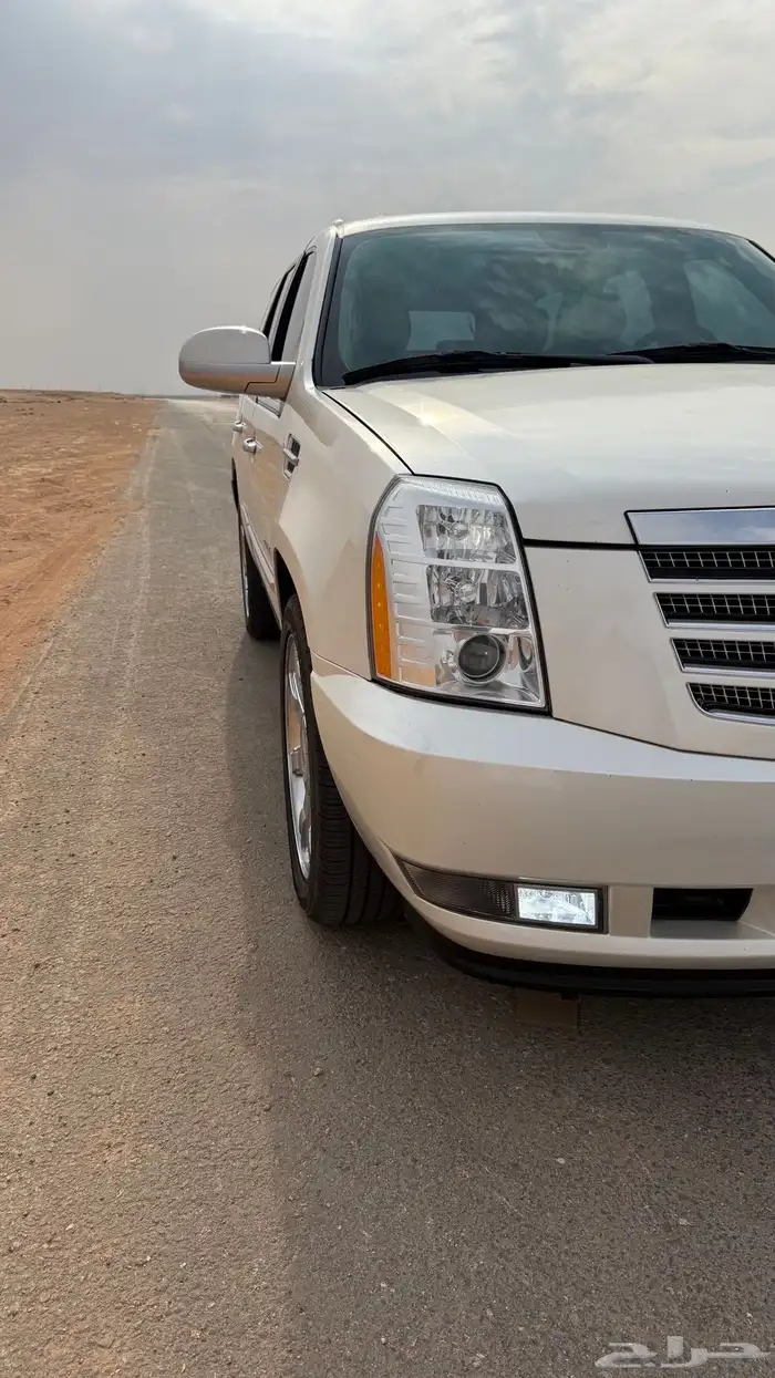 للبيع اسكاليد 2013 14