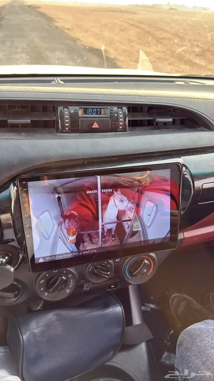 عربه نقل خيل توصيل خيول المانيه في الخفجي 1