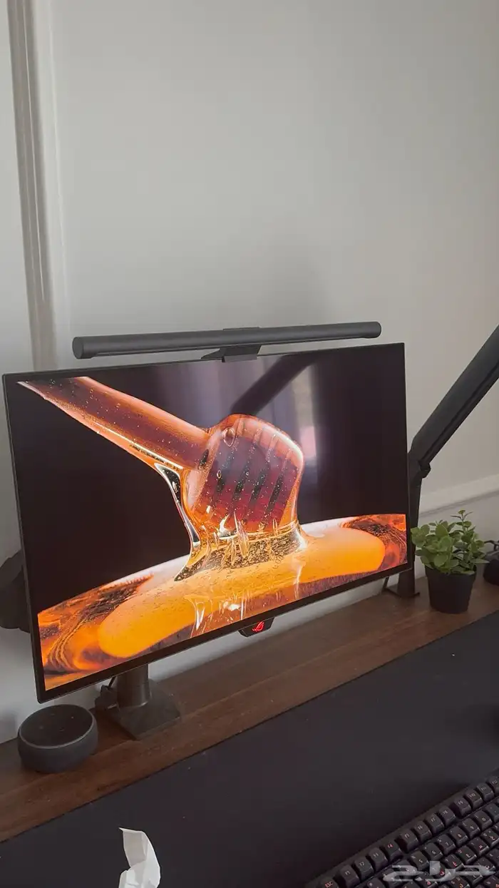 شاشة بي سي اوليد asus oled 0