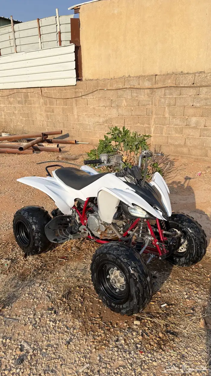 دباب رابتر مقاس 250 0