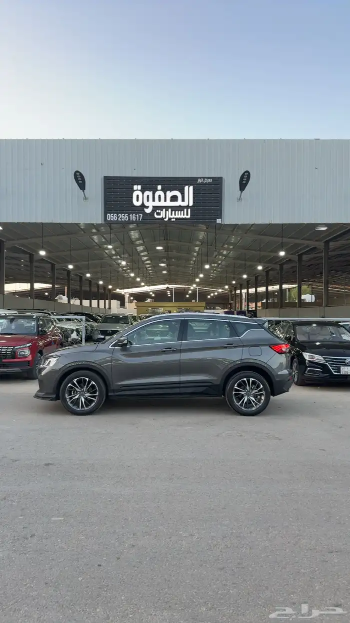 كولوراي جيلي نظيف نظيف 0