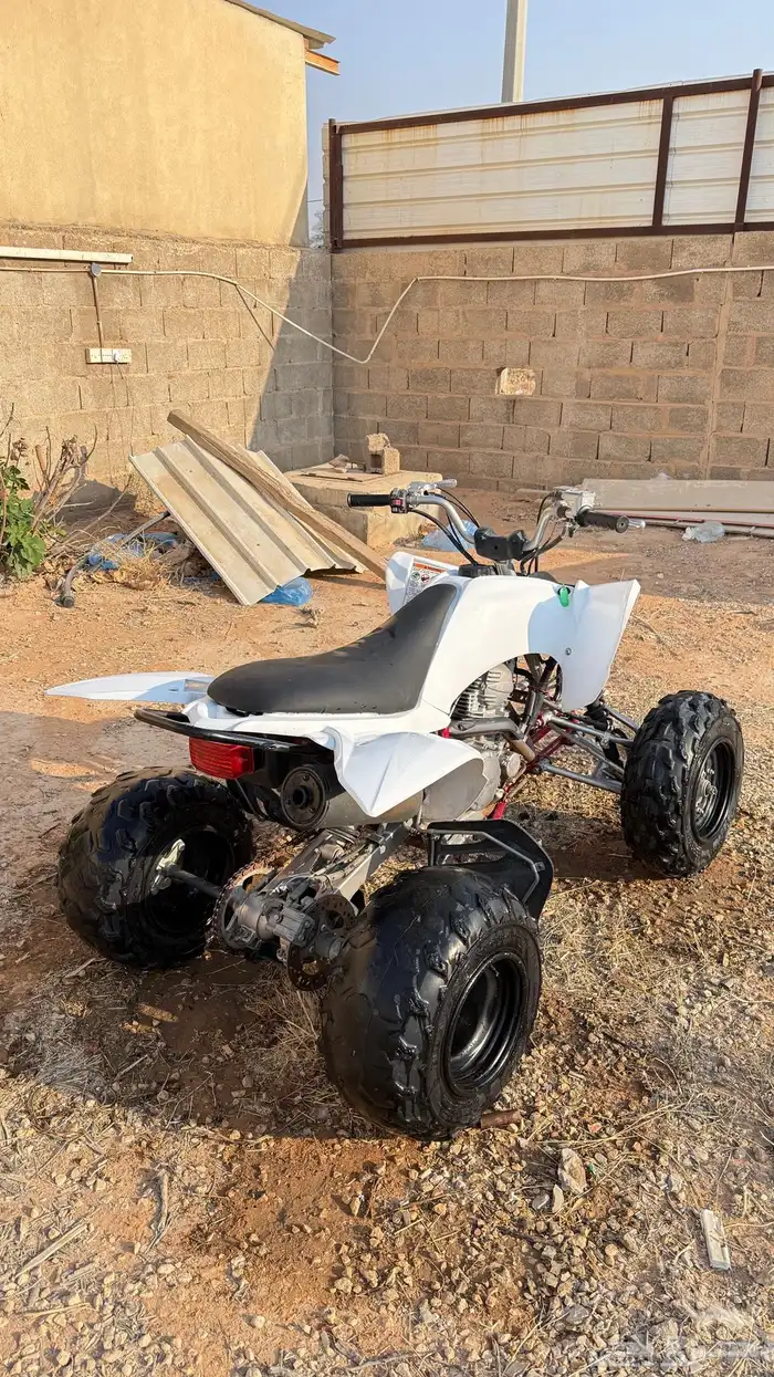 دباب رابتر مقاس 250 2