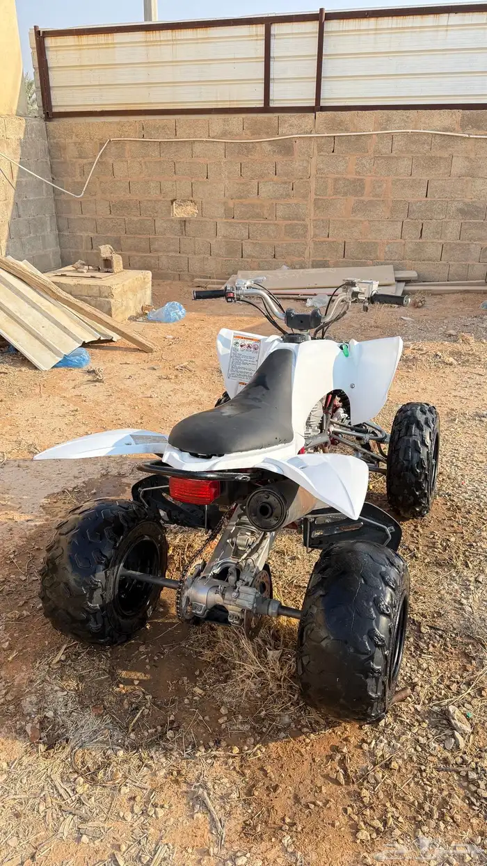 دباب رابتر مقاس 250 1