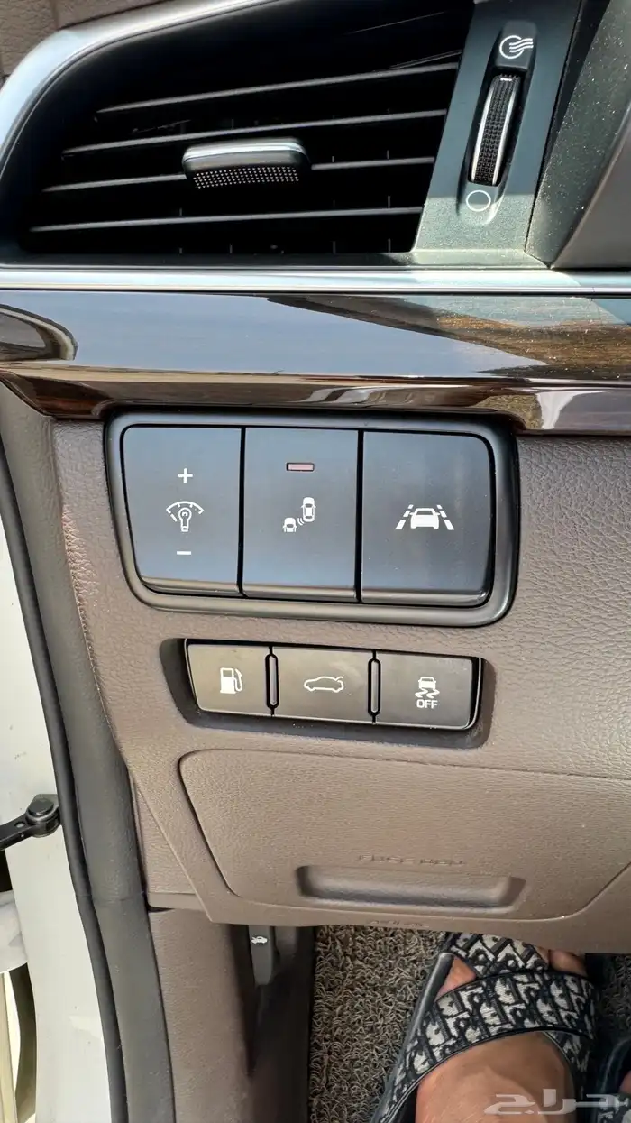 كادينزا 2019 k7 4