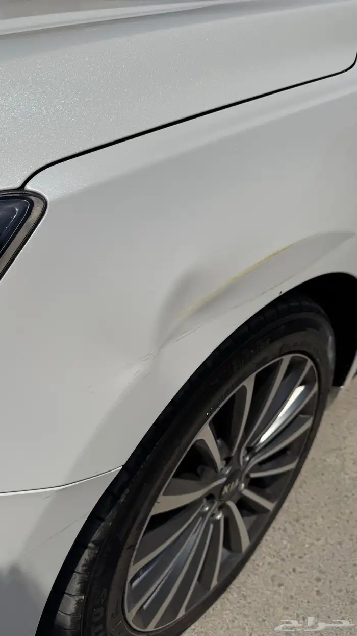 كادينزا 2019 k7 8