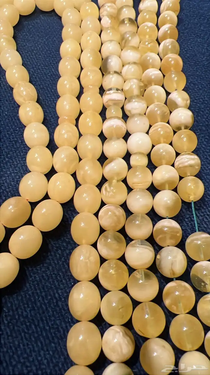 مزاد كهرمان ذهب الرجال (اليوم 7ونص مساء) 4