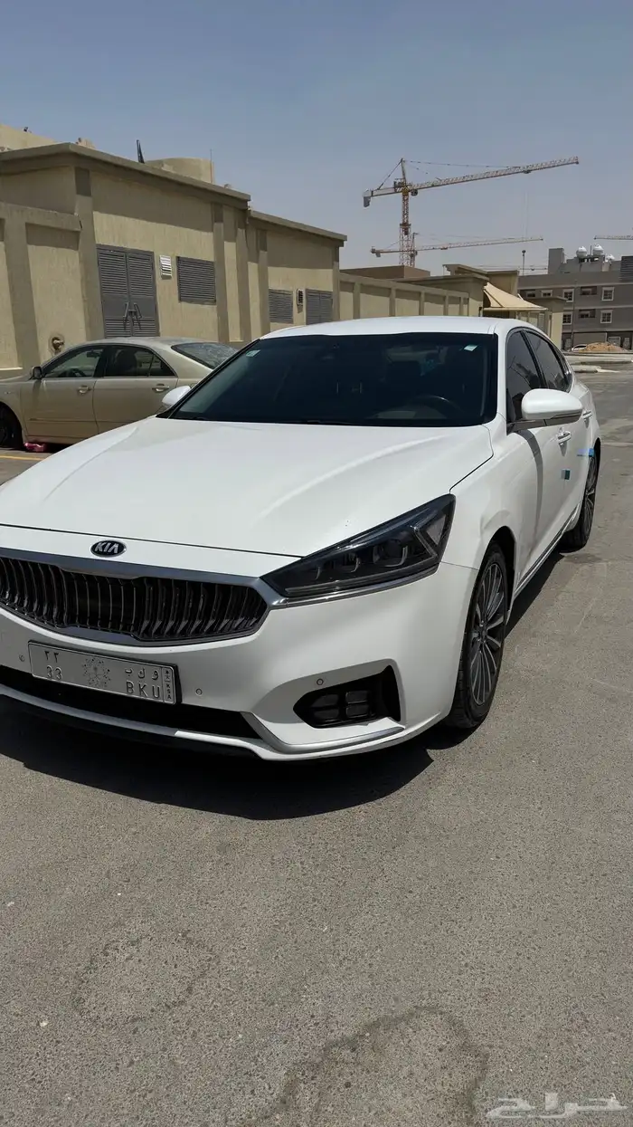 كادينزا 2019 k7 7