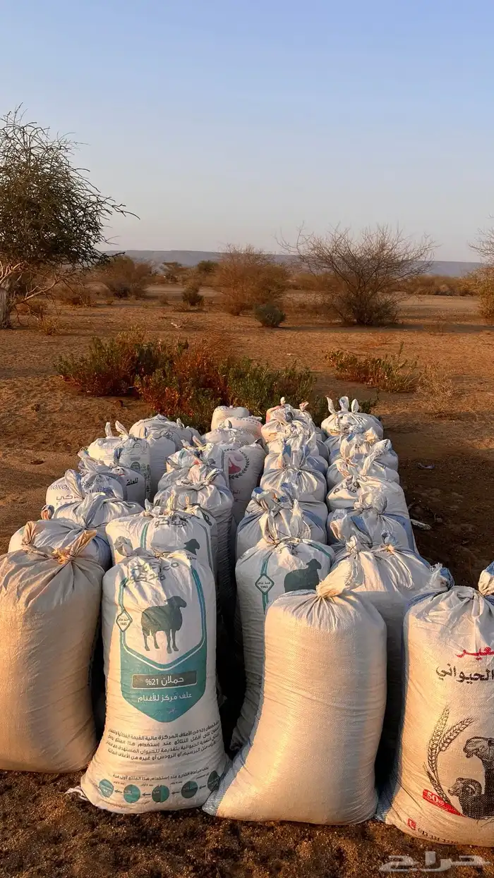 سماد حيوانات 2