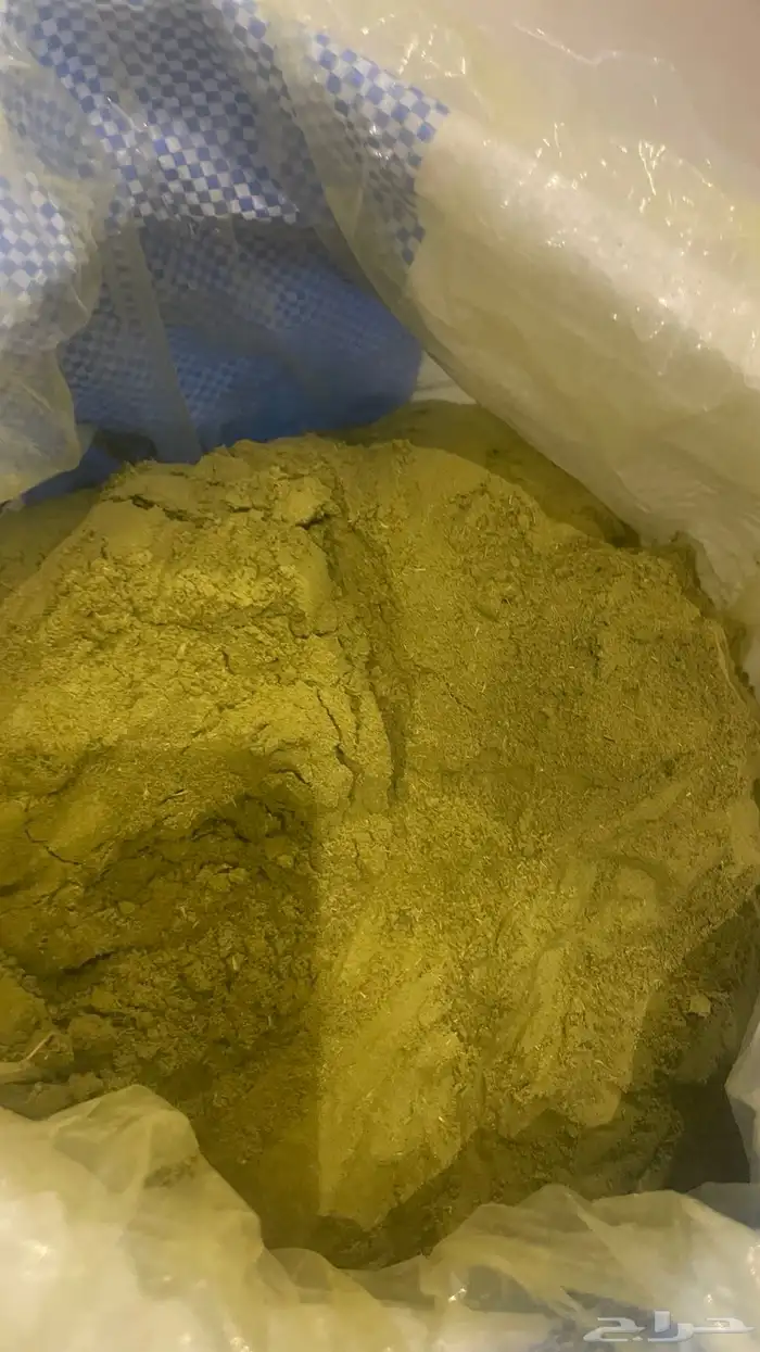 حناء عضوي جمله 0