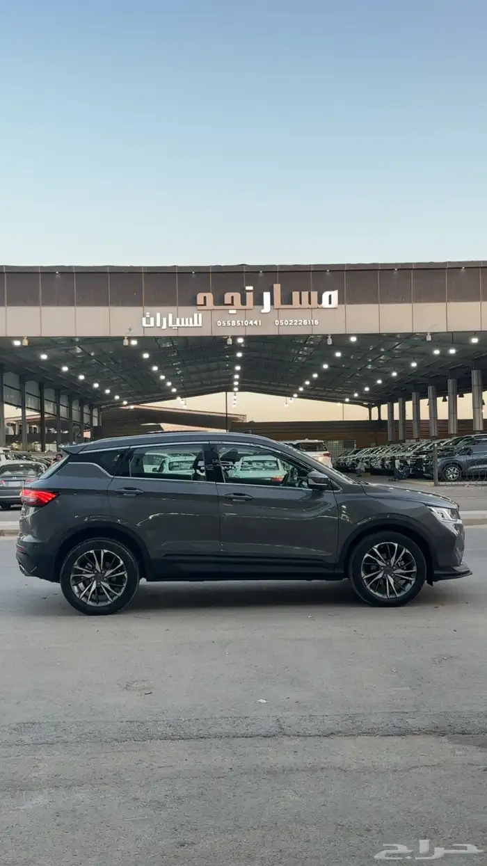 كولوراي جيلي نظيف نظيف 7