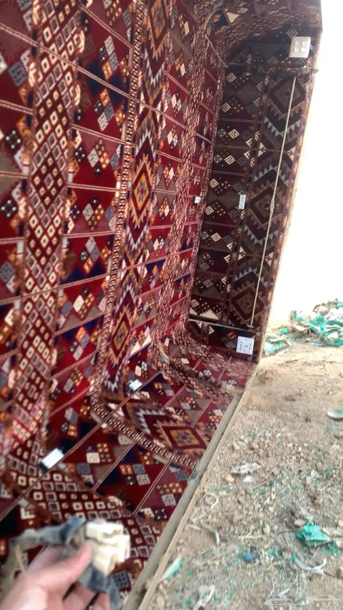 شد شاص للبيع 1