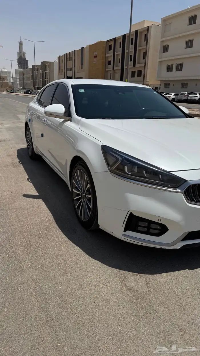 كادينزا 2019 k7 5