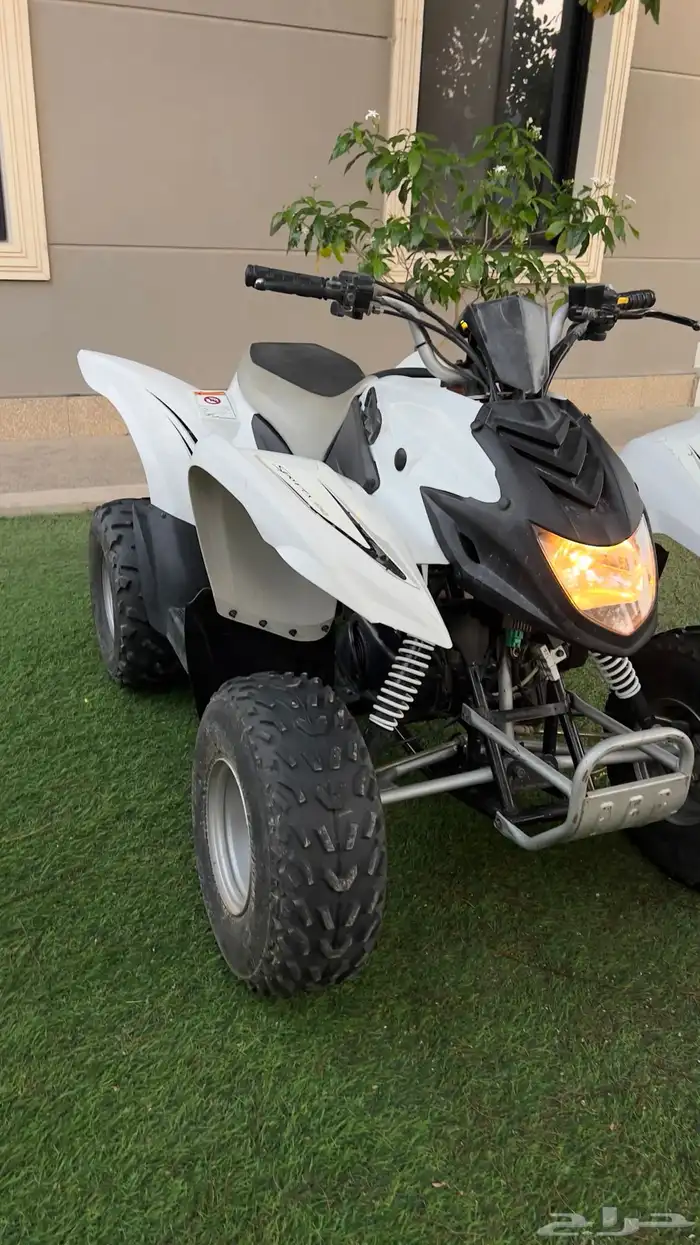 دباب رام110 تايون 0