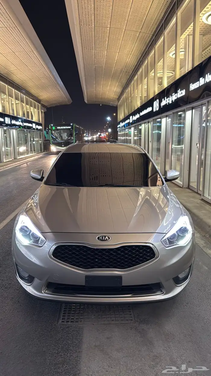 كادينزا 2014 1