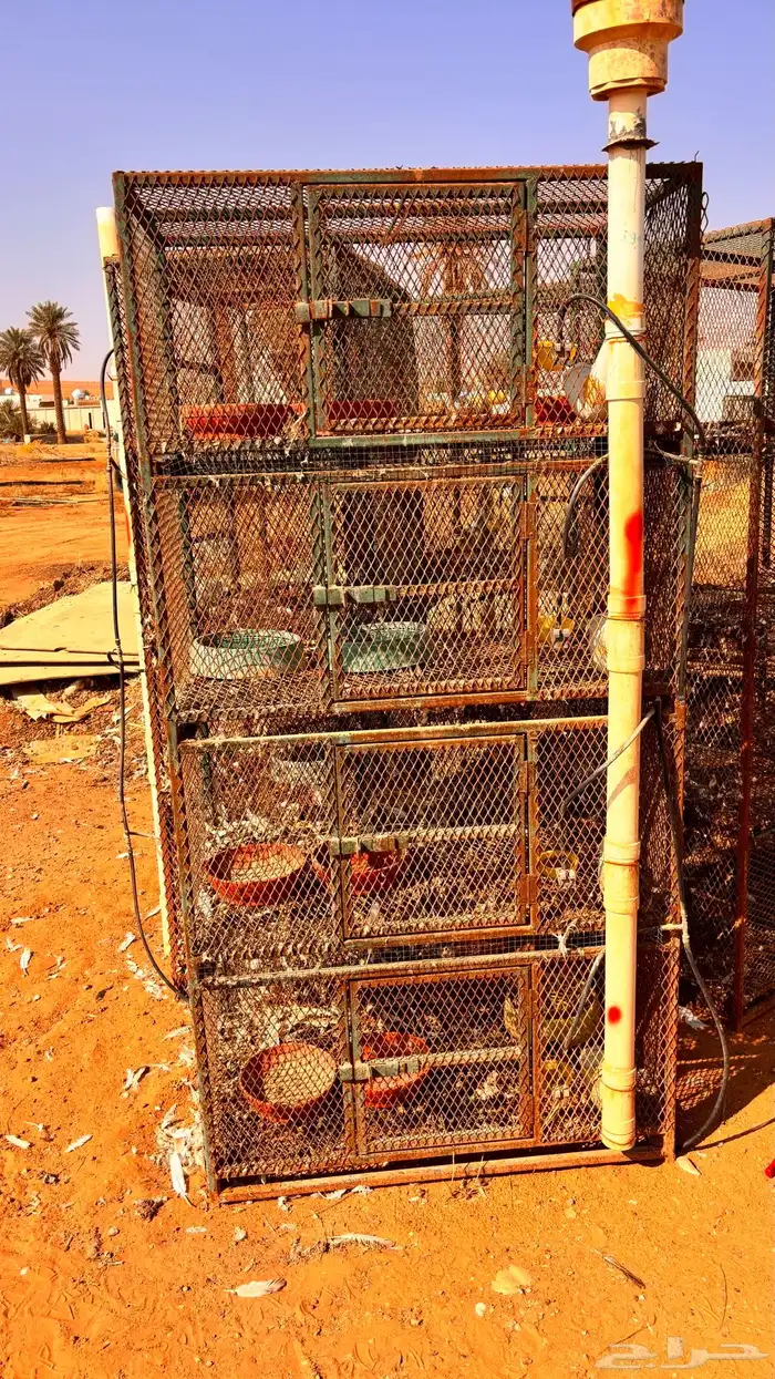 محاكر حمام 0