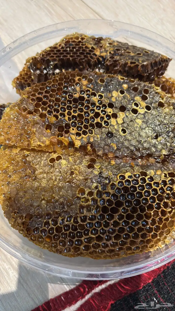 عسل شمع - خزاين وسحايه - 2