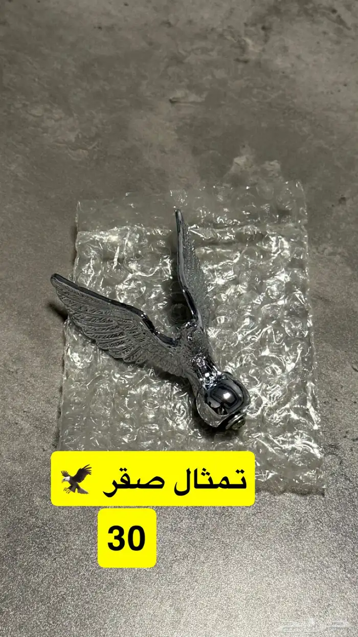 اكسسوارات وقطع AX100 19