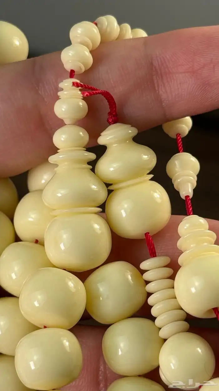 مسباح دومنه 5