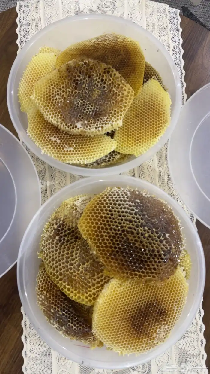 عسل سدر صافي 1