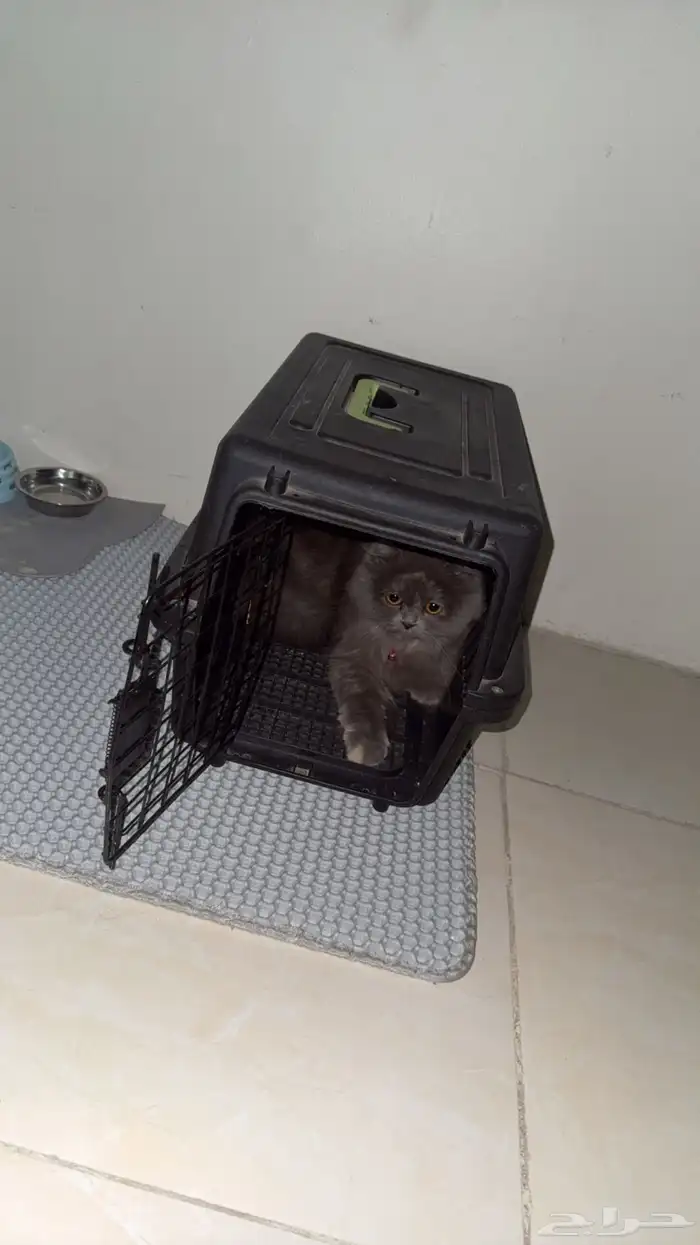 السلام عليكم 1