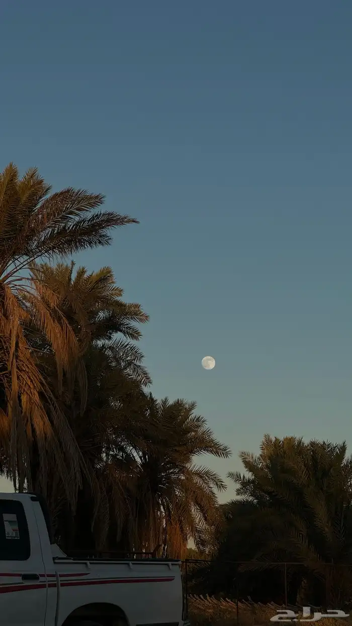 نخخل سلج خشرم صقعي متعدد للبيع سمح 8