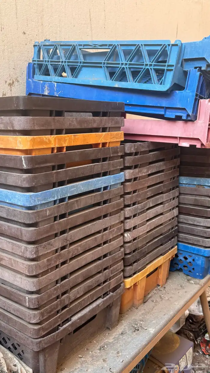 سبتات عدد 50 1