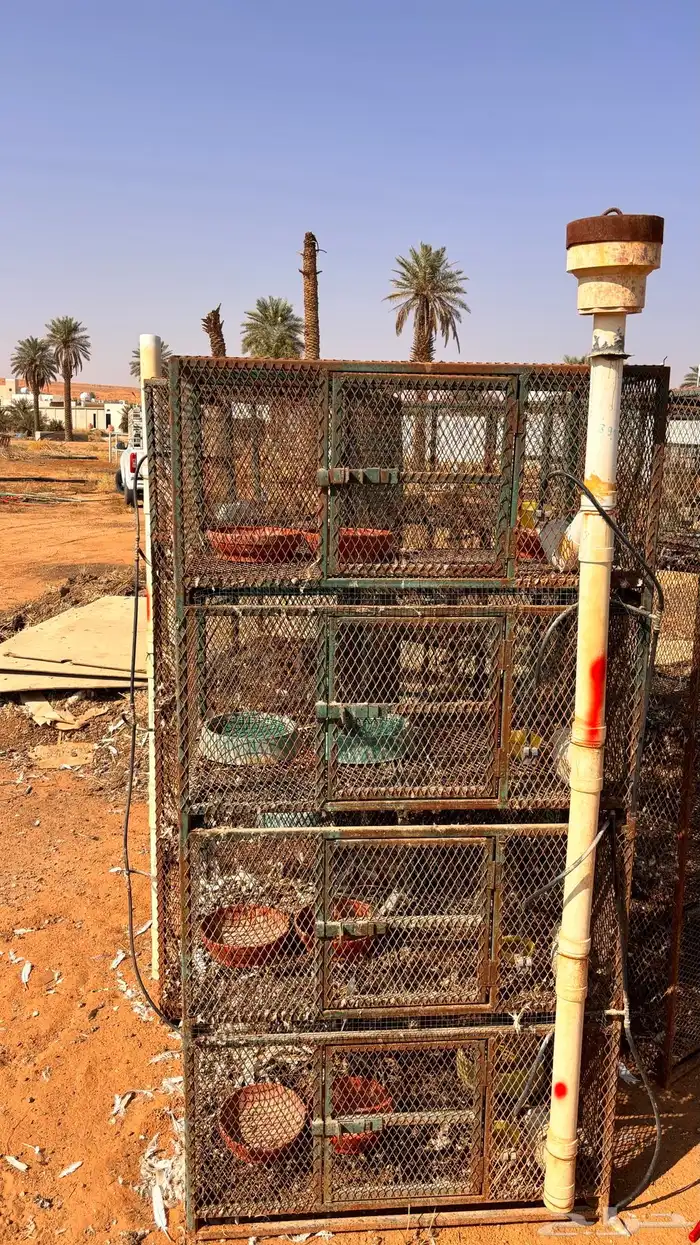 محاكر حمام 1