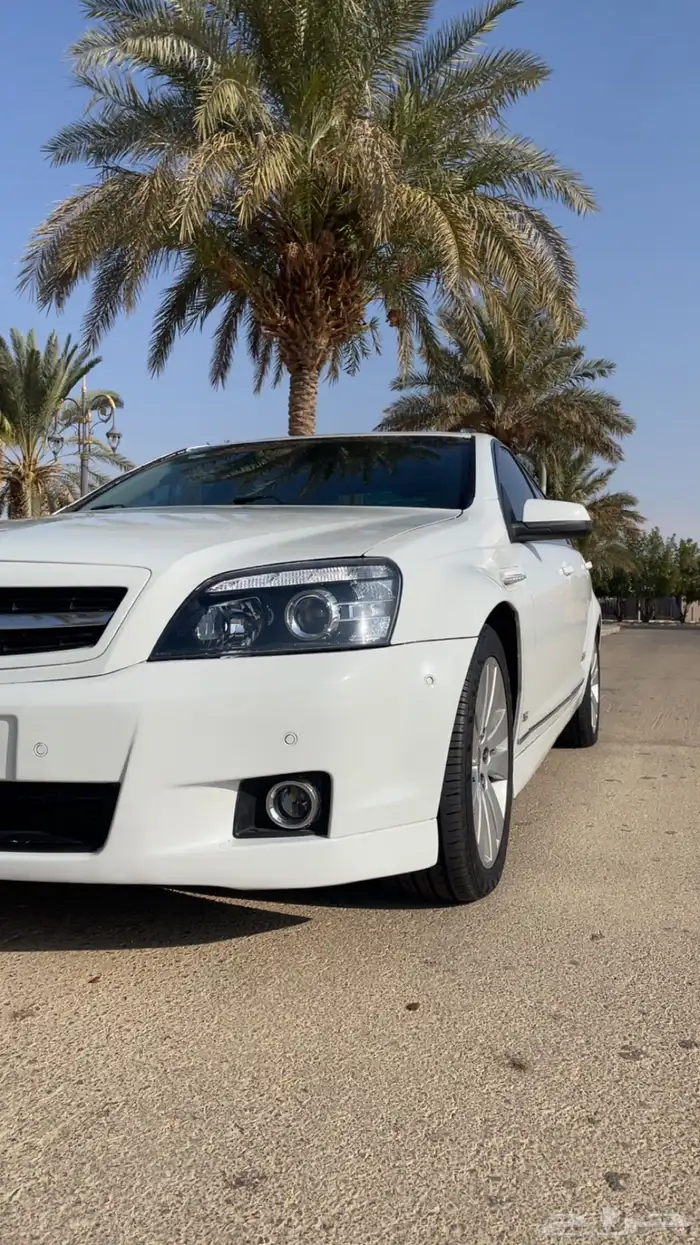 كابرس ss 2015 9