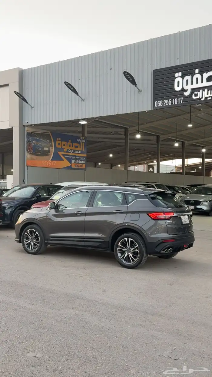 كولوراي جيلي نظيف نظيف 5