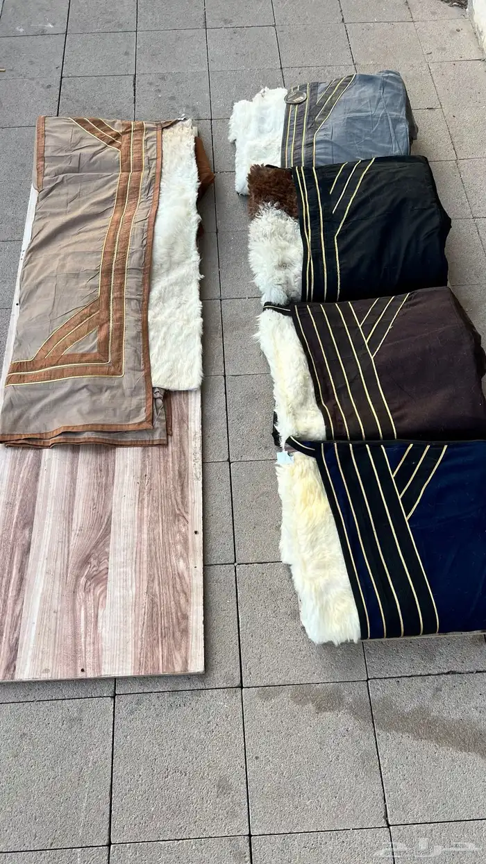 فراوي طفيلي وصديري طفيلي وارنب 5