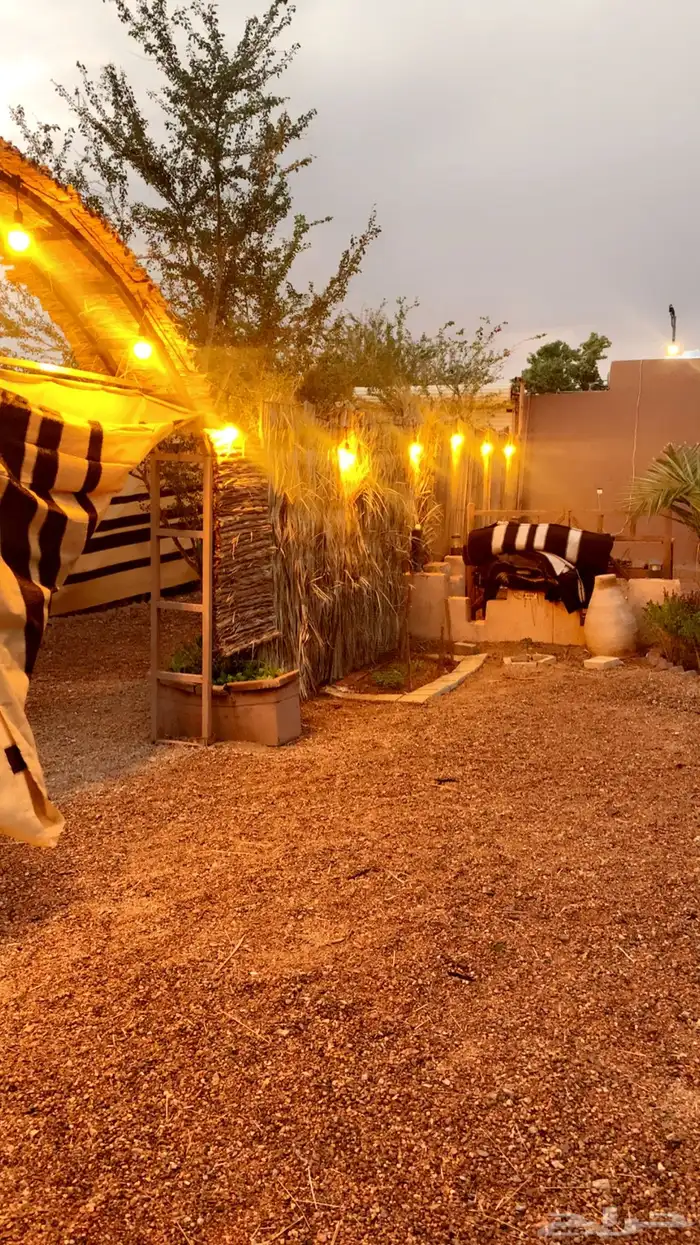 مخيم شتوي مخيم جوان الشتوي 21