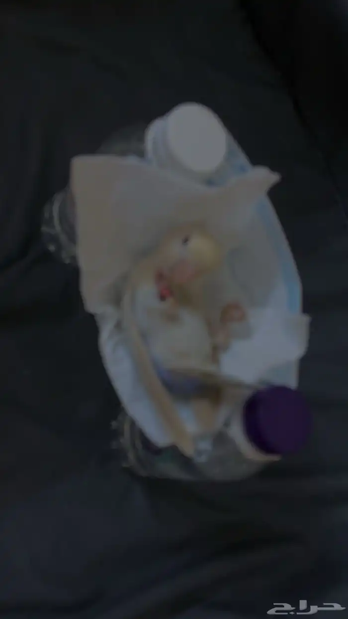 ذكر روز العمر 9 اشهر تغريد وعنده كلمه بيسو يقولها السعر 300 0