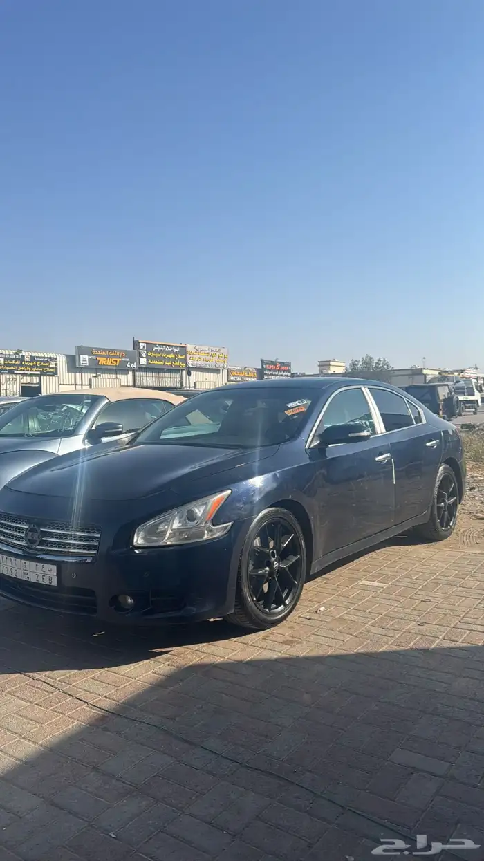 مكسيما 2011 12