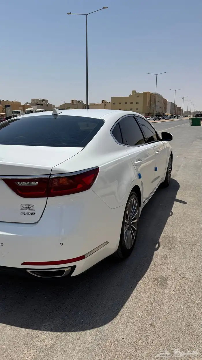 كادينزا 2019 k7 1