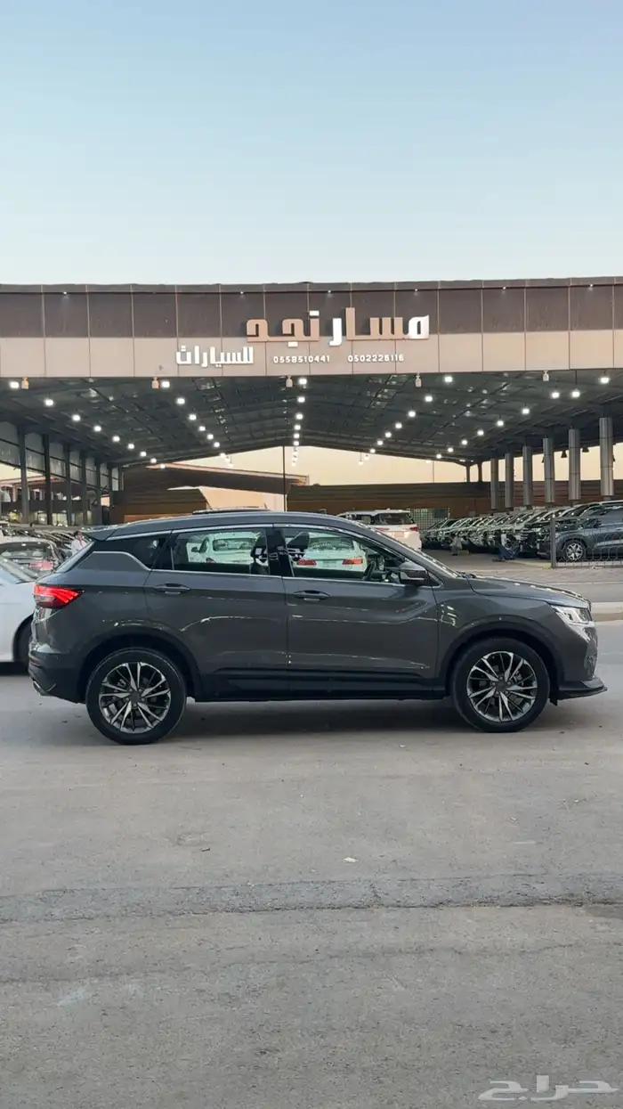 كولوراي جيلي نظيف نظيف 1