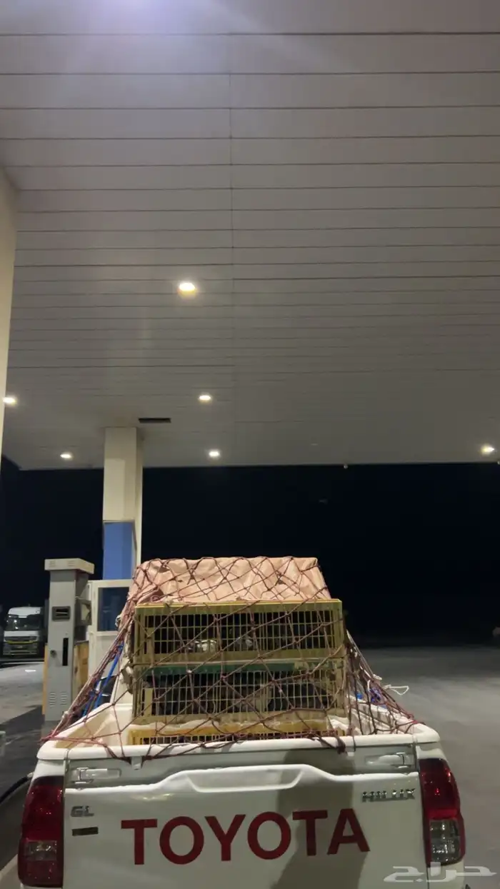 موصل مشاوير بانواعها 1