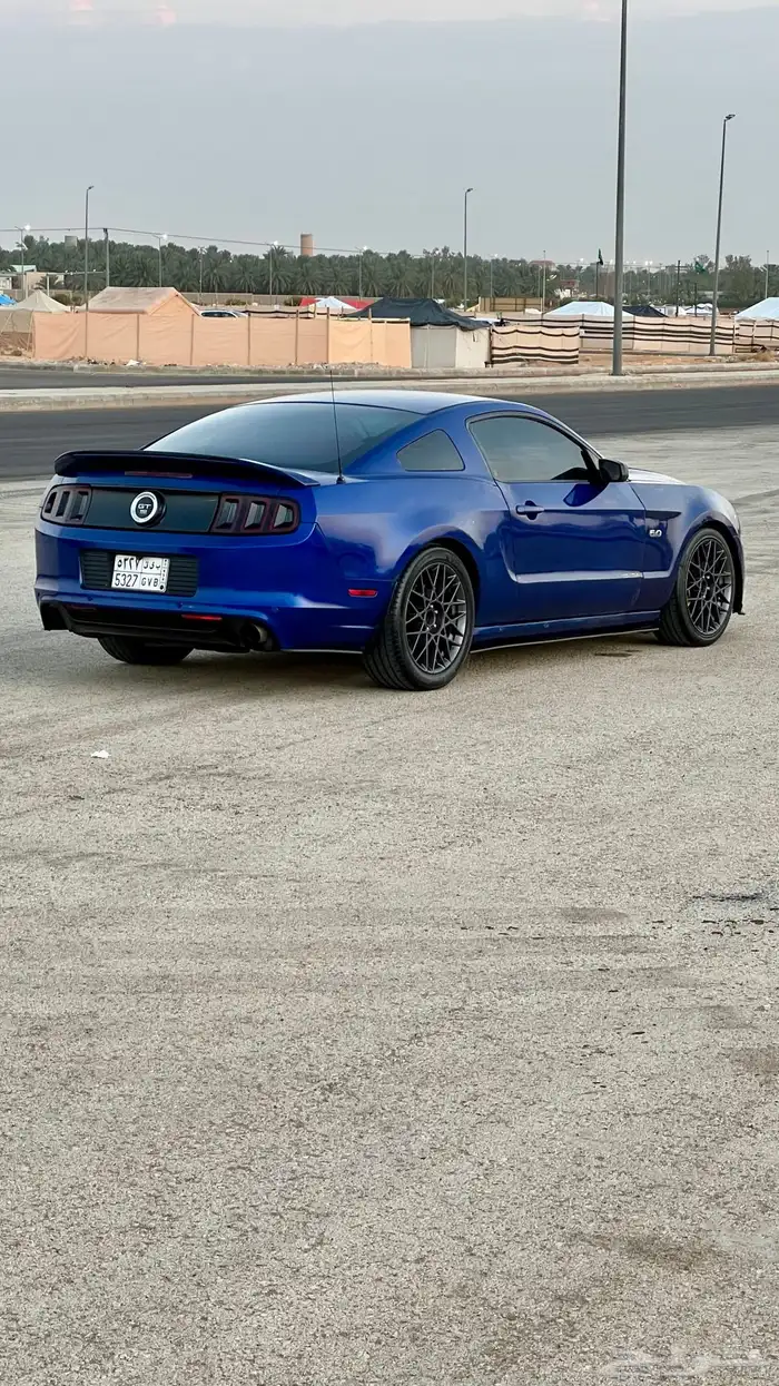 موستنج 2013 2