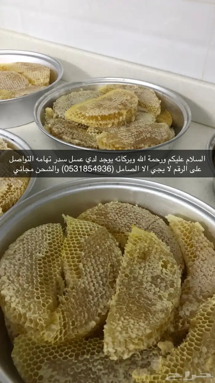 عسل سدر تهامه 0