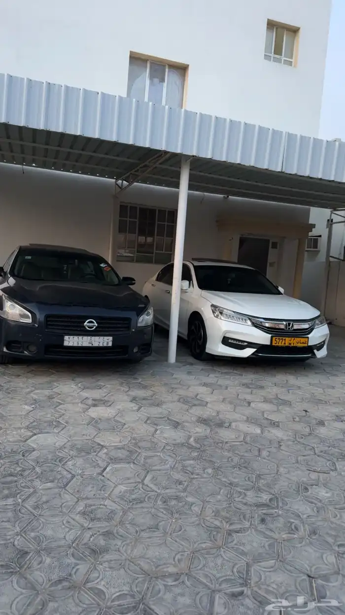 مكسيما 2011 14