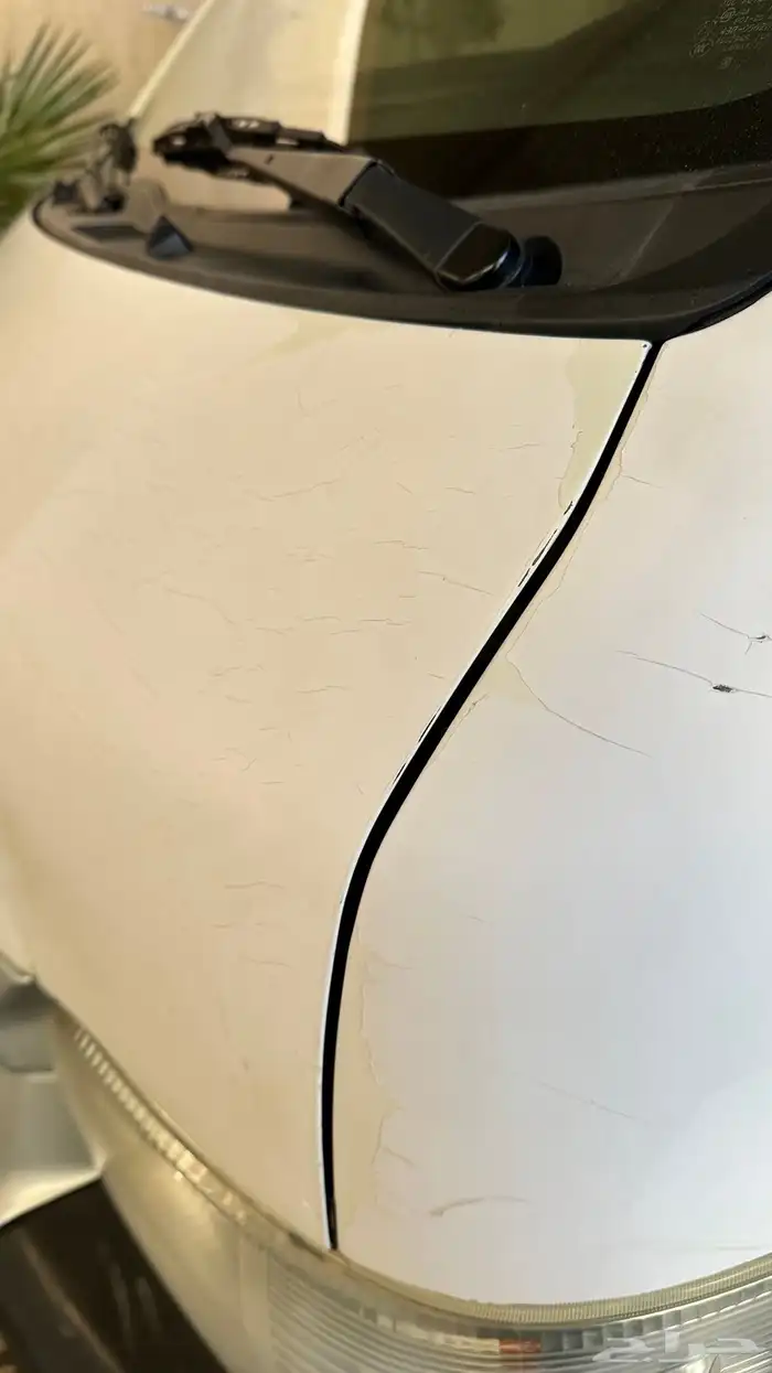 باص 2016 قبه للبيع 4